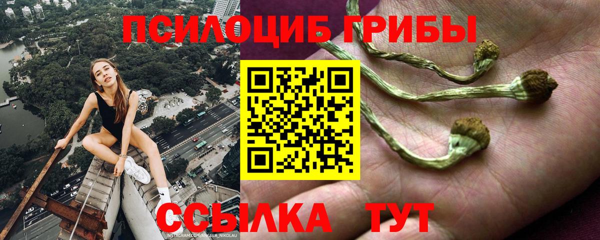 хочу наркоту  Галлюциногенные грибы Magic Shrooms  Вход с VPN  Благовещенск 