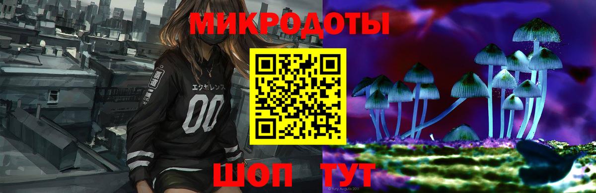 Галлюциногенные грибы Psilocybine cubensis Благовещенск